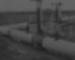 查看我们的目录